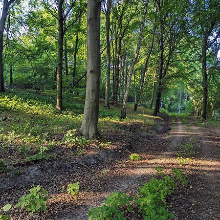 Forsthaus Lelkendorf / Ferienwohnung Buitenkant foto