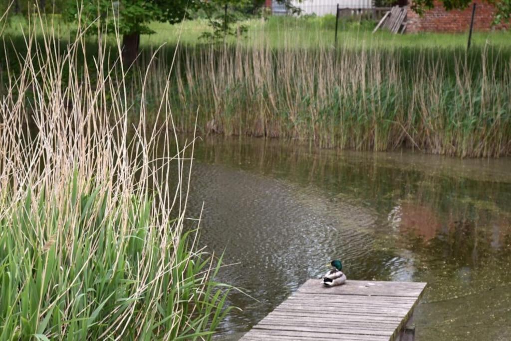 Forsthaus Lelkendorf / Ferienwohnung Buitenkant foto